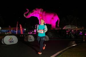 BIB: 
                            <button type="button" onclick="openModal(26542995)" class="btn btn-primary btn-sm float-right btn-popup" data-toggle="modal" data-target=".modal-high-quality">
                        <i class="fas fa-shopping-cart"></i> Add to Cart
                    </button>
                                            <button type="button" onclick="isThisMe(26542995, true)" class="btn btn-success btn-sm float-right btn-popup btn-isme hidden" data-toggle="tooltip" data-placement="bottom" title="นี่คือรูปของคุณใช่ไหม คลิกที่นี่เพื่อเอาเข้าอัลบั้ม">
                        <i class="fas fa-plus"></i> Add to album
                    </button>
                    <button type="button" onclick="isThisMe(26542995, false)" class="btn btn-warning btn-sm float-right btn-popup btn-isnotme hidden">
                        <i class="fas fa-ban"></i> Remove from album
                    </button>